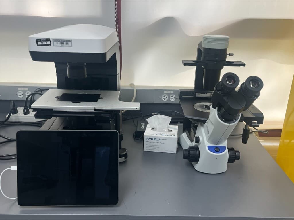 Digital imaging microscope and inverted microscope on a lab bench