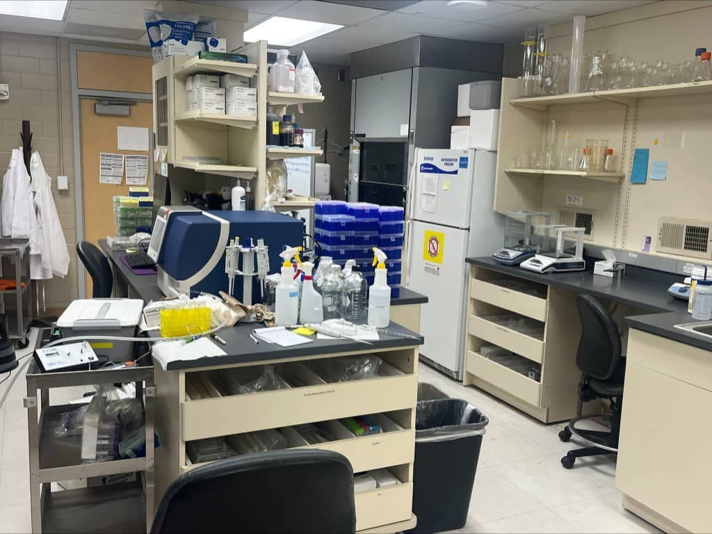 Active IDDD laboratory with analytical instruments, balances, and supply shelves
